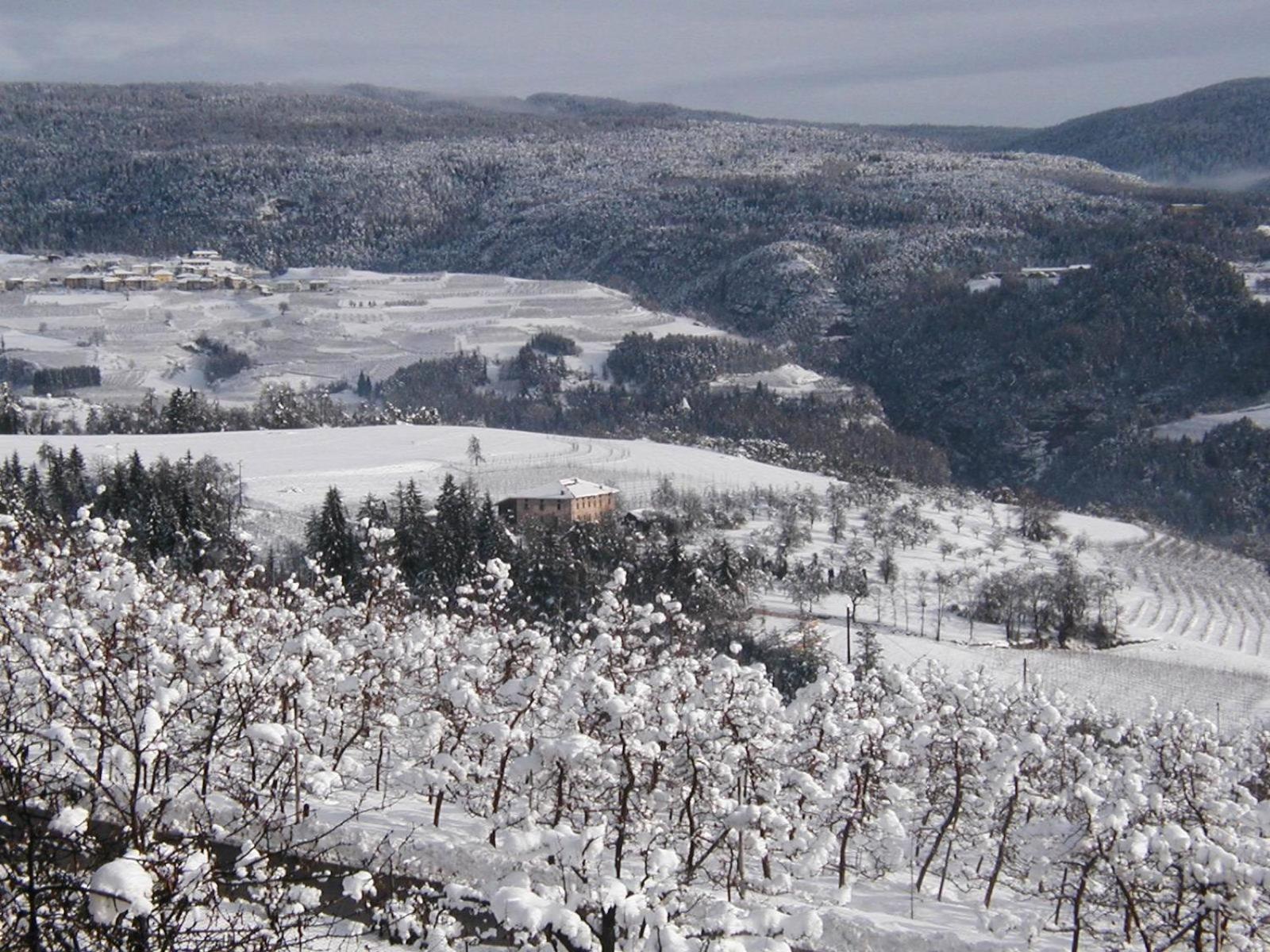 Locanda Alpina Brez Kültér fotó