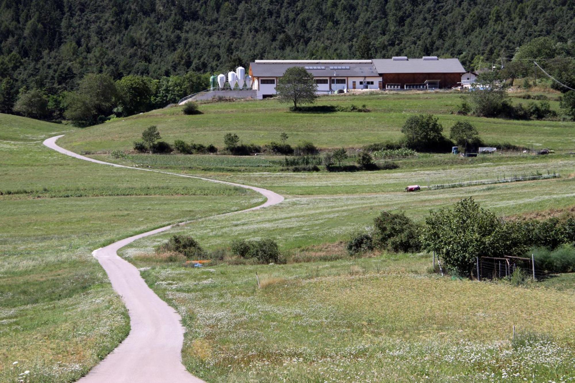 Locanda Alpina Brez Kültér fotó